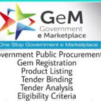 GEM PORTAL. E TENDER TENDER EXECUTIVE / CONSULTANT