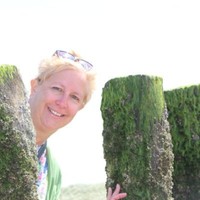 Ingrid Vos-Reumer