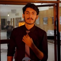 Alamdar Hussain Shah Saral