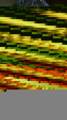 Claudemir Da Silva Gomes