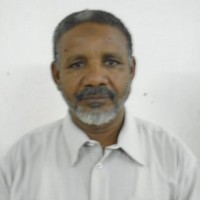 Mohamed Elsadig