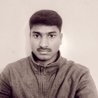 Parthasarathi N