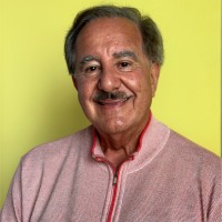 Faris Nalu