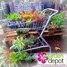 Garden Depot