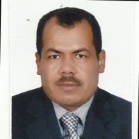 Abdelrahman Abdelraheem Mohamed