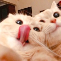 I Da