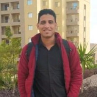 Alaa Altaher