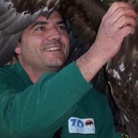 Gustavo Fernández Duque