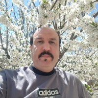 Ali Bidari