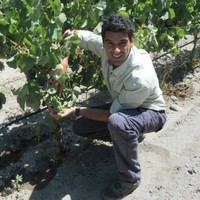 Nuno Laranjo Rodrigues