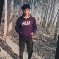 Manoj Puli