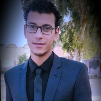 Mostafa Kassem