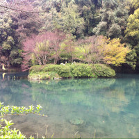 陈思杰