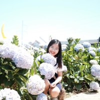 Thương Trần