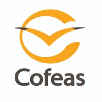 Cofeas Accounting Outsourcing
