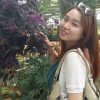 Shanshan Lu
