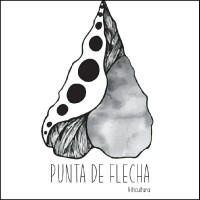 Punta de Flecha Viticultura