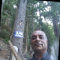 Paul Brar