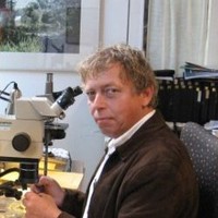 Alexander Klink