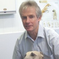 Ray Ferguson