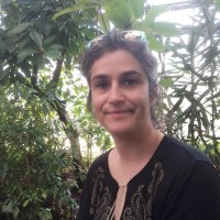 Fabienne Delaunoy