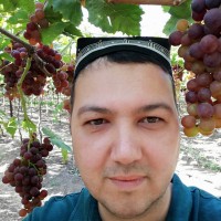 Furkat Alimukhamedov