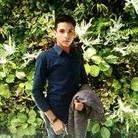 Roynel Avila