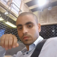 هاني محمود
