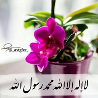 سعد البدر