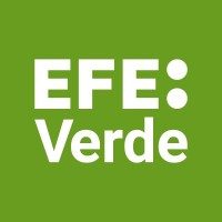 Efeverde El Periodismo Del Medio Ambiente
