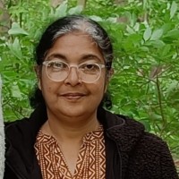 shibi Karamel varghese
