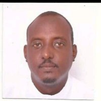 hussein hersi