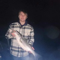 Sean Hitchens