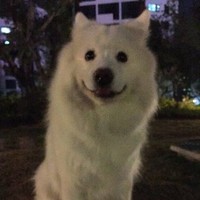 何东来