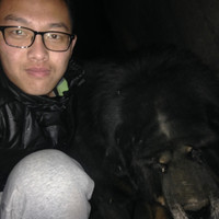 郑传龙