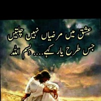 Roshi Gull