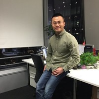 Qing Yan