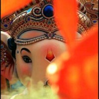Dharmesh H Makwana