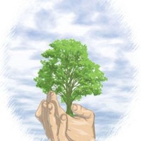 A Better Creation Lawn and Tree Service