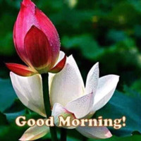 Kuldip Shinde