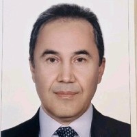 Alireza Shahmansouri