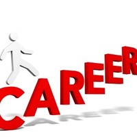 Career Counsultant