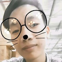 huu dang pham