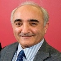 Professor Reza Kouhy