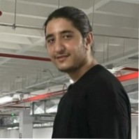 Amir h. Safavi