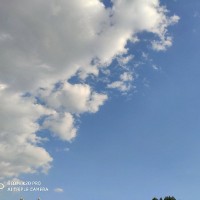 张晓琳