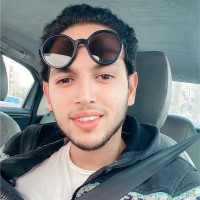 Hossam Roshdy