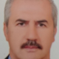 Tayfun TARI