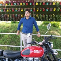 Ashish Pratap Singh