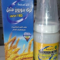 Ehsan Nazarbeygi